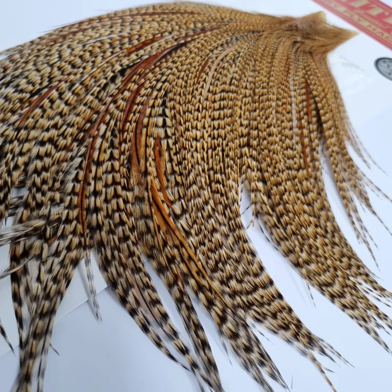 Whiting Silver Grade Rooster Cape in CREE-5